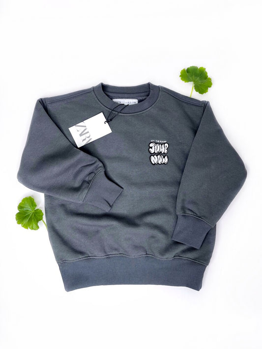 Світшот ZARA (арт. Л789)