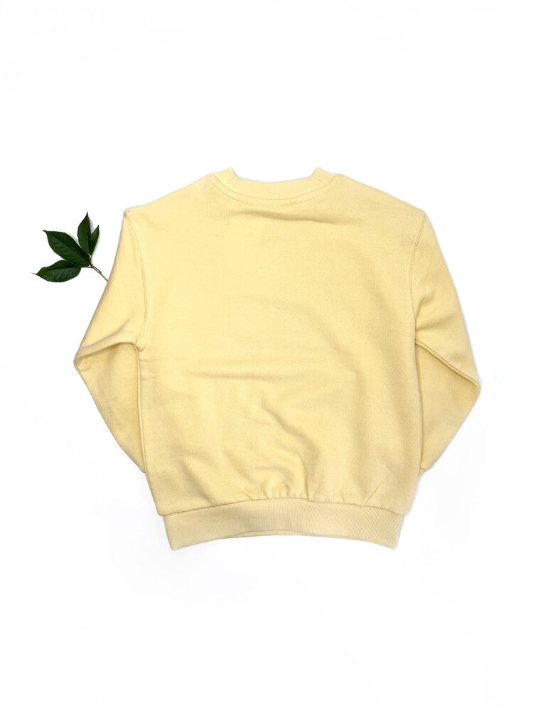 Кофта світшот H&M (арт. Л1105)
