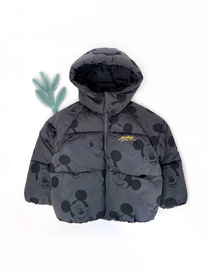 Зимова куртка (єврозима) ZARA (арт. Л1210)