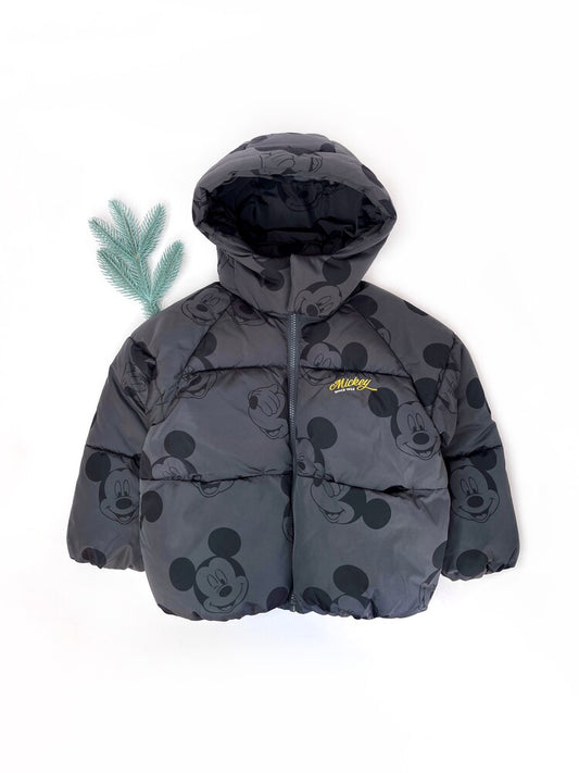 Зимова куртка (єврозима) ZARA (арт. Л1210)